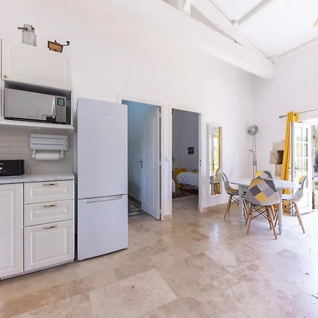 Daire Chateau Du Xviie Siecle - Piscine Petanque & Barbecue Saint-Just-Luzac